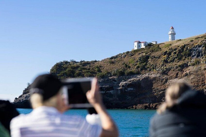 See the picturesque Taiaroa Head Lighthouse. 5