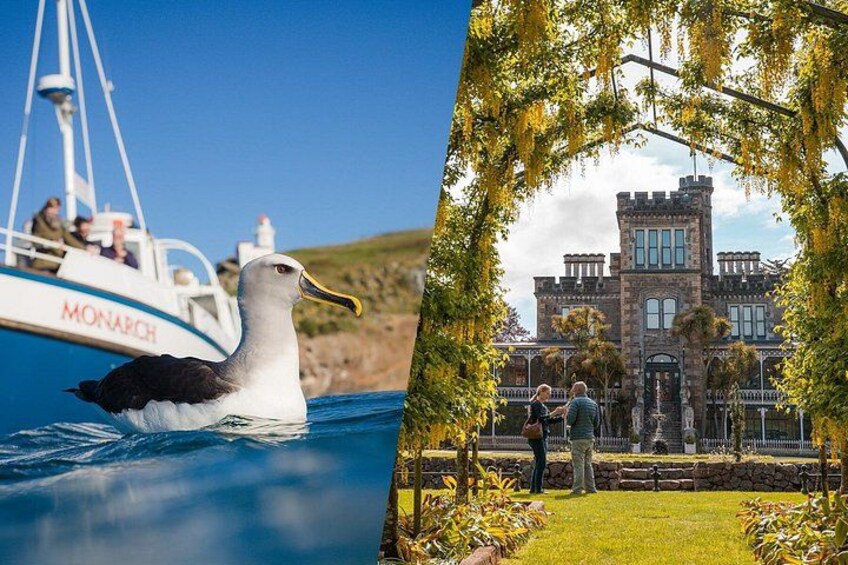 A seagull on a boat and a castle-like building with a lawn. 3