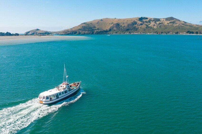 Cruise out through the calm waters of the Otago Harbour. 2