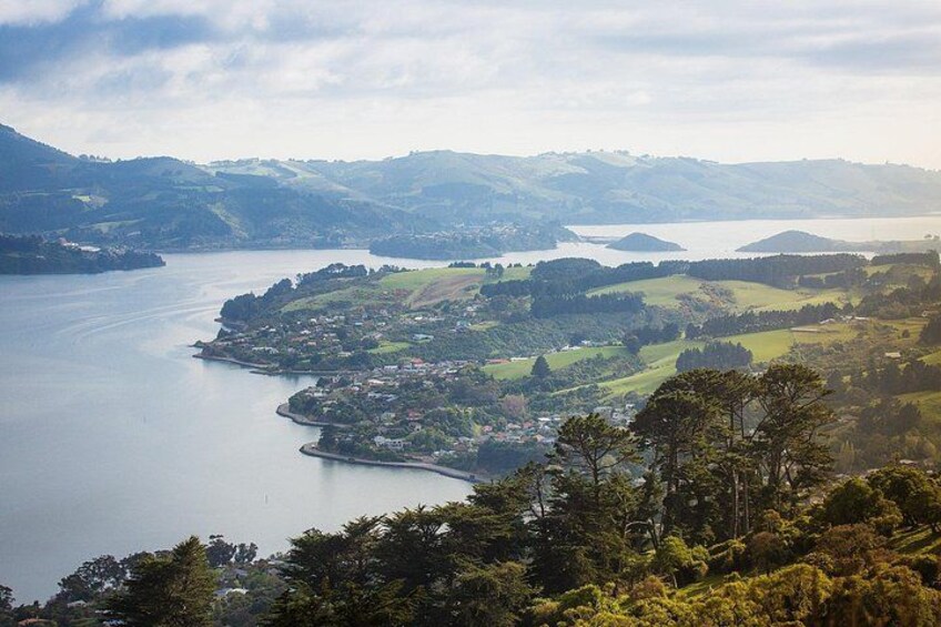 Views down the Otago Harbour. 2