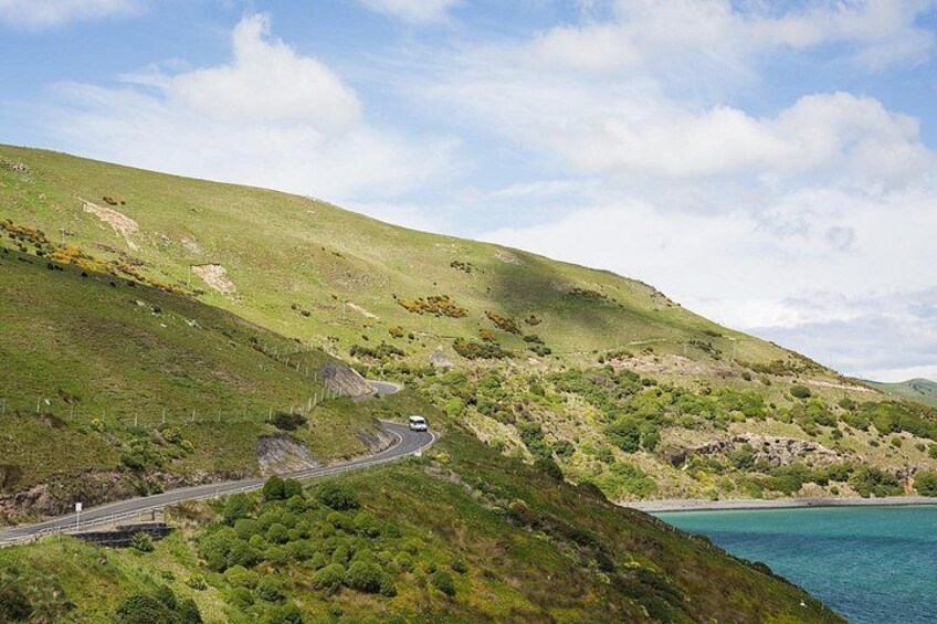 The beautiful scenic roads of the Otago Peninsula. 5