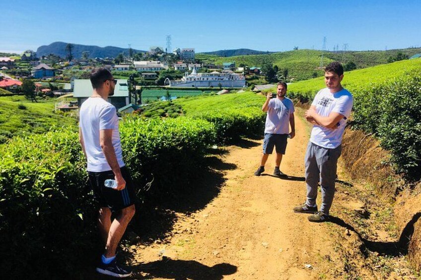 Explore Nuwara Eliya - Waterfall & Tea Factory Tour 1