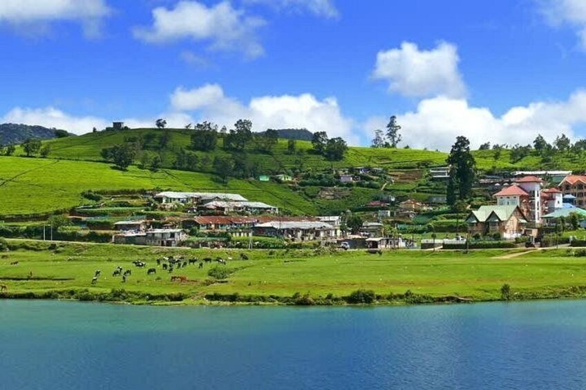 Explore Nuwara Eliya - Waterfall & Tea Factory Tour 5