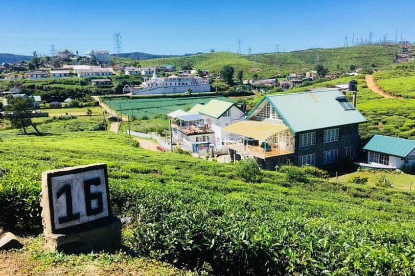 Explore Nuwara Eliya - Waterfall & Tea Factory Tour 4