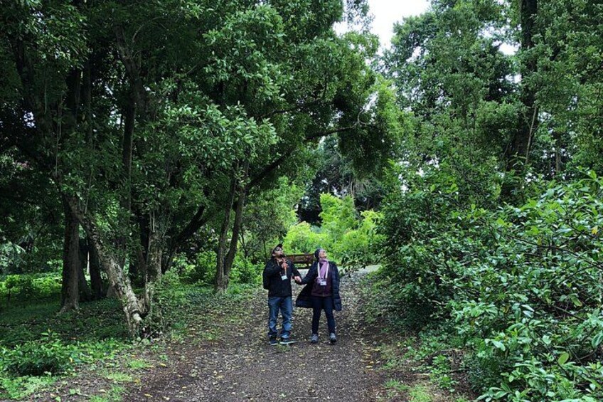 Wombat Botanical Gardens 3