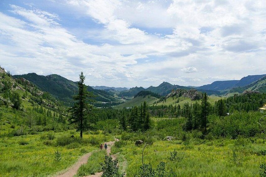 A mountainous landscape with a dirt path, green vegetation, and scattered trees. 2