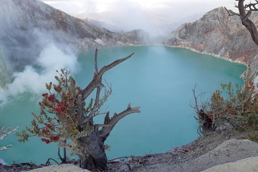 Bromo Sunrise - Ijen Crater Tour 2 Day 1 Night 1