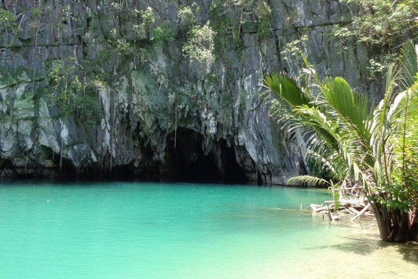 Una laguna turquesa con la entrada a una cueva rocosa, rodeada de exuberante vegetación y palmeras. 1