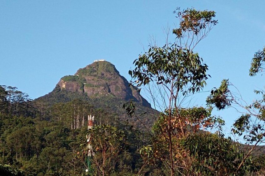 Adams Peak 4