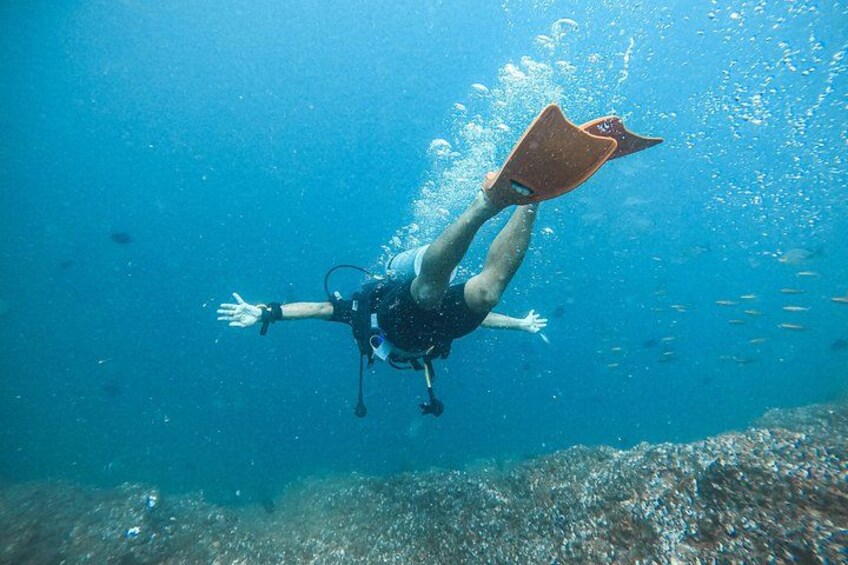 Discover SCUBA Diving in Beautiful Unawatuna Bay 5