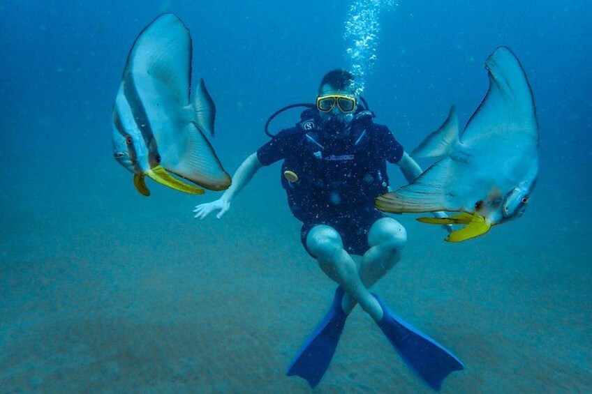 Discover SCUBA Diving in Beautiful Unawatuna Bay 2