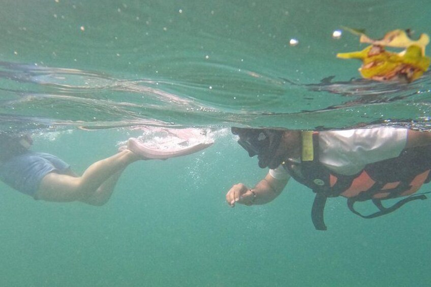 Snorkeling On Beautiful Rock Island - Unawatuna by Boat 2
