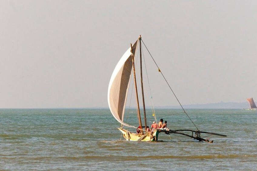 Negombo City Tour by Tuk Tuk 4