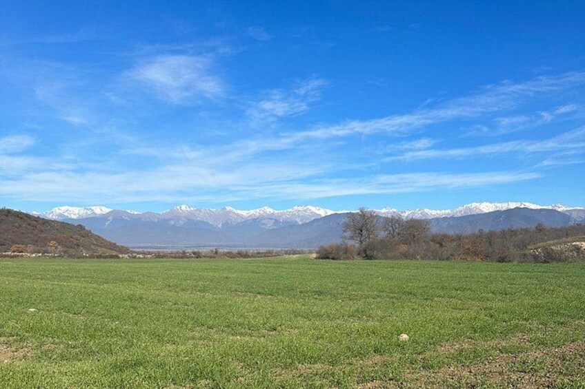 A grassy field with a mountain range in the background. 4