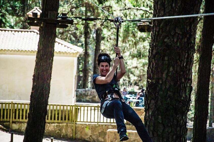 Fly!feel free in the treetops! 2