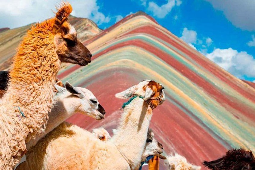 Excursion to Rainbow Mountain Full Day Optional Red Valley 1