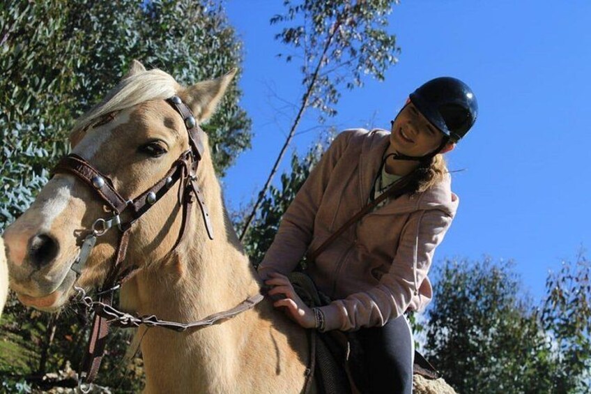 A person riding a horse with a bridle, surrounded by trees. 2