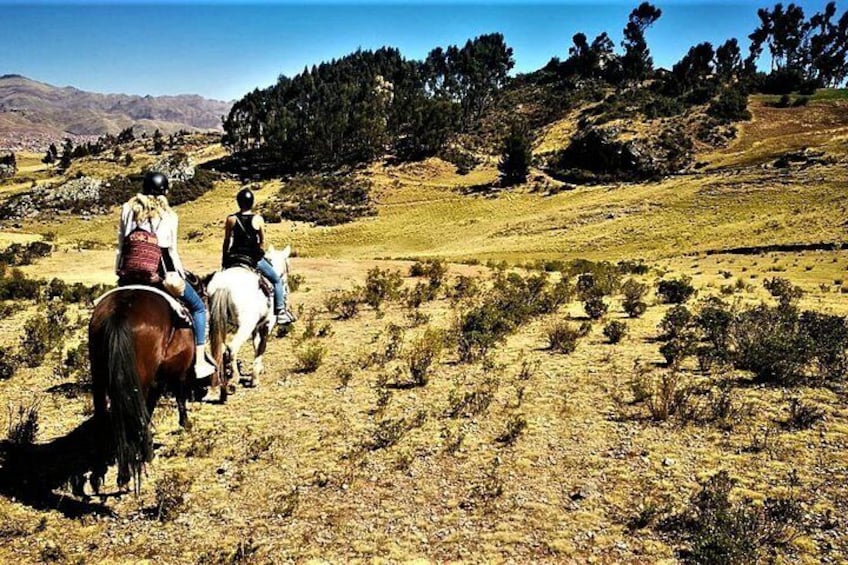 Three people riding horses on a grassy hillside with sparse vegetation and distant trees. 1