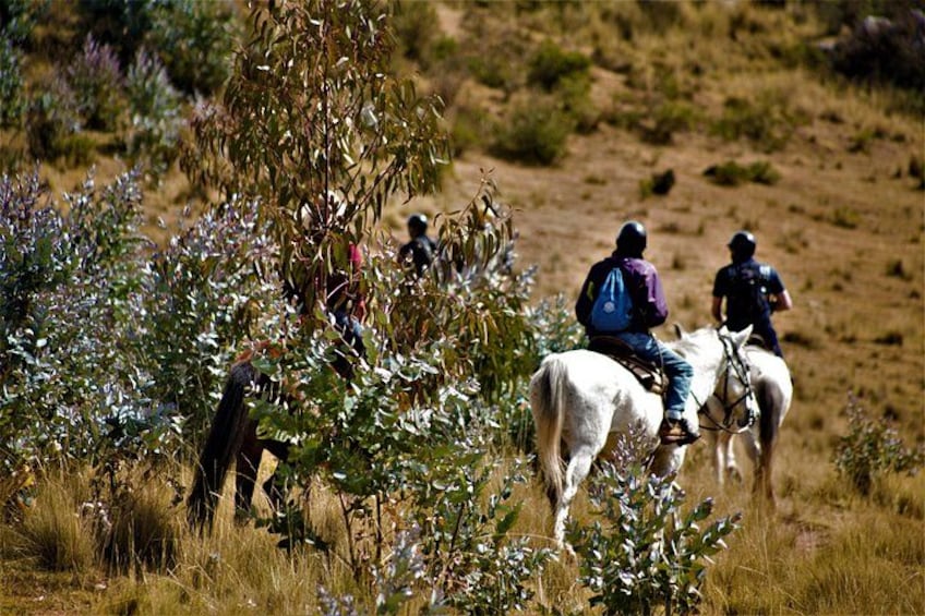 Horse Riding Chacan Mountain And Temple Of The Moon 5