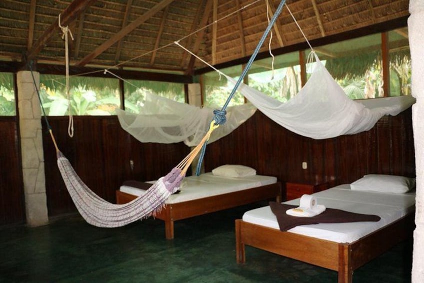 3 days 2 nights - Tambopata Jungle 5