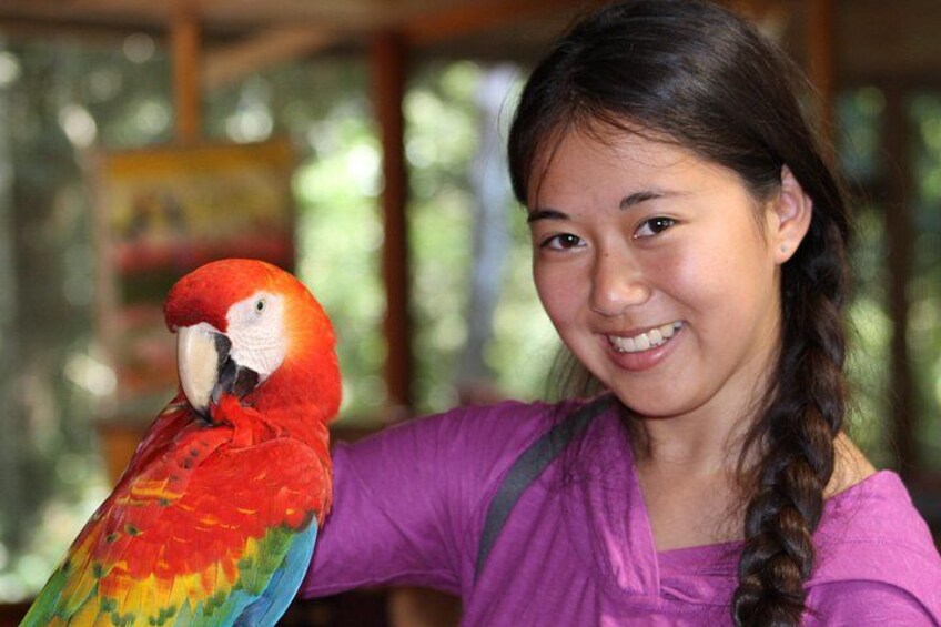 3 days 2 nights - Tambopata Jungle 4