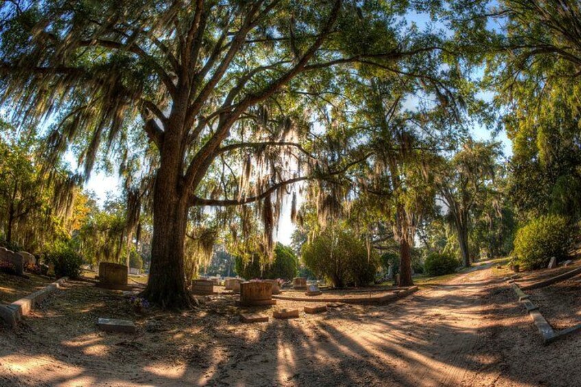 Savannah's Bonaventure Cemetery Tour 2