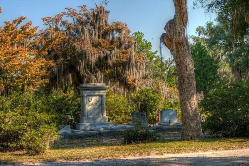 A cemetery with headstones, a large tree, and Spanish moss hanging from branches. 4