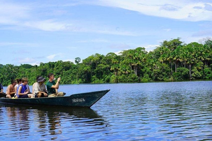 Een boot op kalm water met passagiers, omringd door een dichtgroene bos. 4