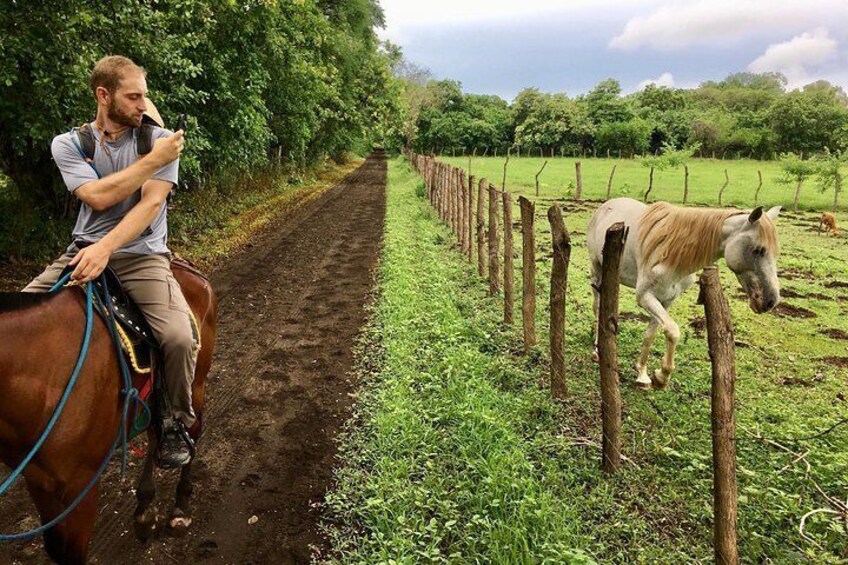 Horseback Riding Private Tour