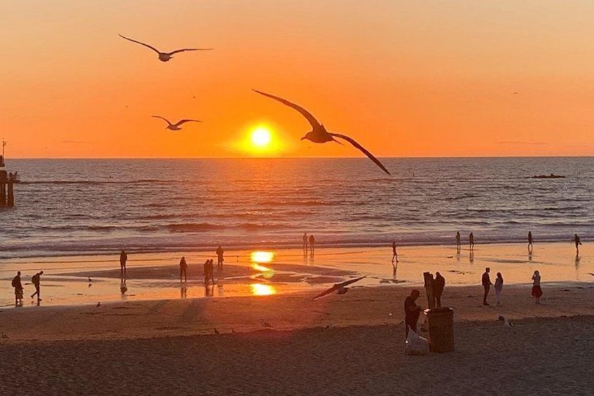 See beautiful Malibu beaches and scenery. 3