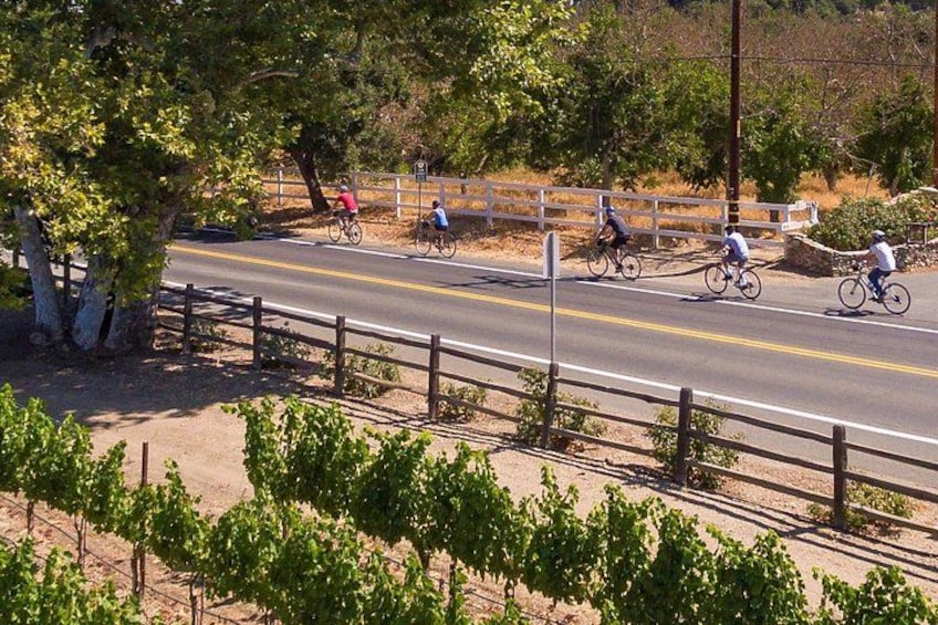 Wine Country E-Bike Guided Tour - w/o Lunch 3