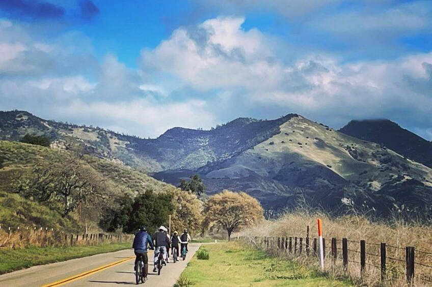 Wine Country E-Bike Guided Tour - w/o Lunch 1