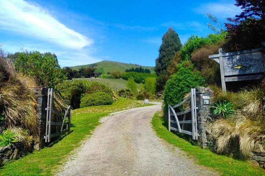 wineries 5