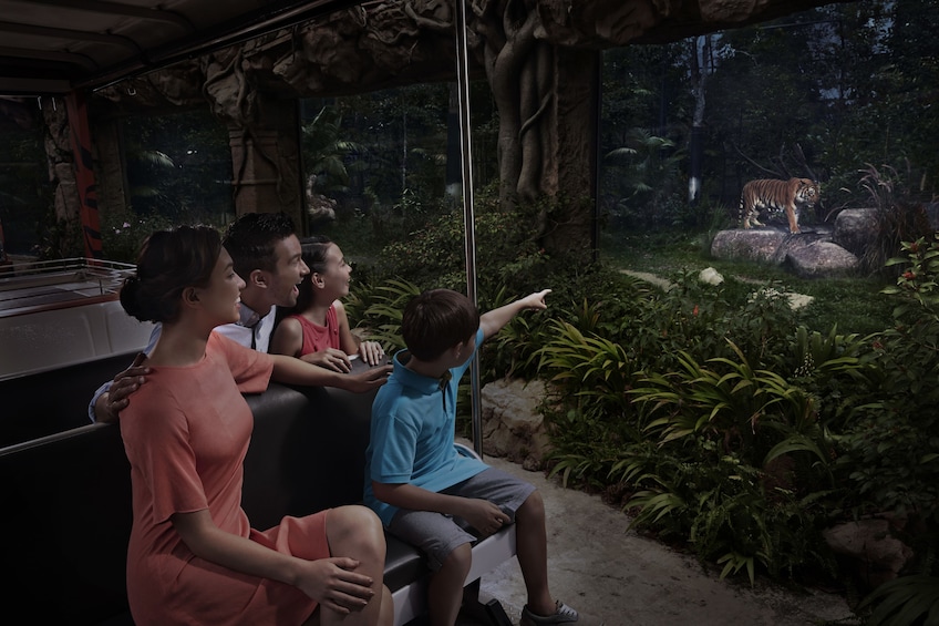 Skip-the-Line: Night Safari Ticket with Transfer