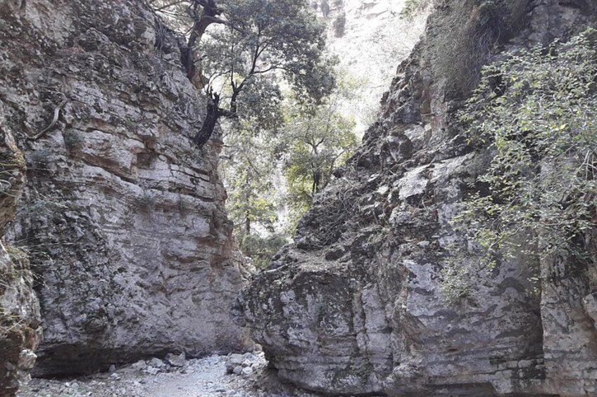Hike Imbros Gorge and Beach Private Tour (price per group of 6) 5
