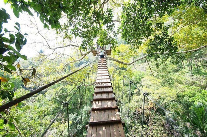 A wooden suspension bridge in a forested area. 3