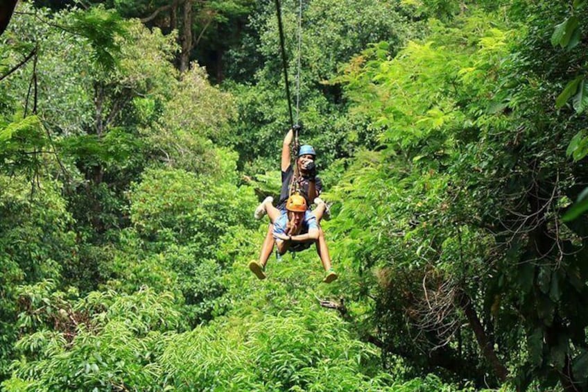 A person swinging on a rope swing in a forest. 1
