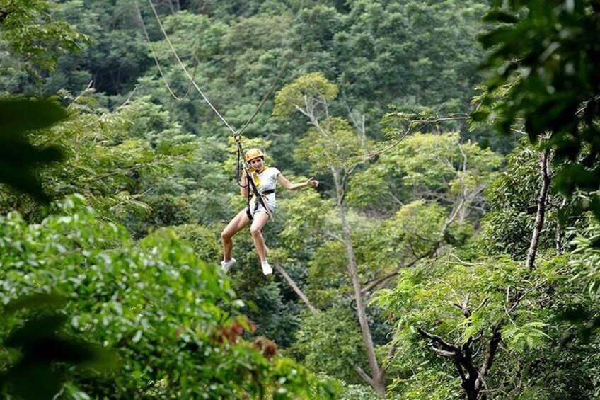 A person ziplining through a dense forest. 5