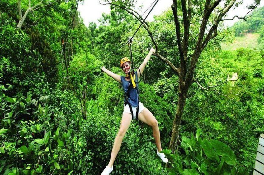 A person zip-lining through a lush, green forest. 2