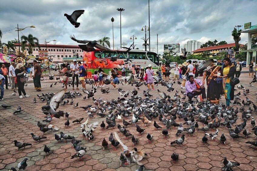 A public square with pigeons, people, and a bus. 3