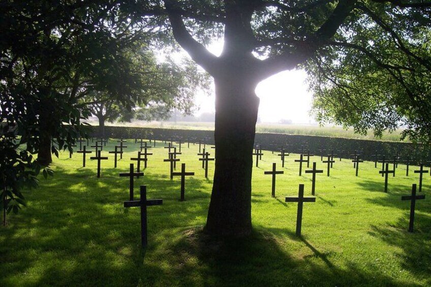 A cemetery with numerous crosses and a large tree providing shade. 2
