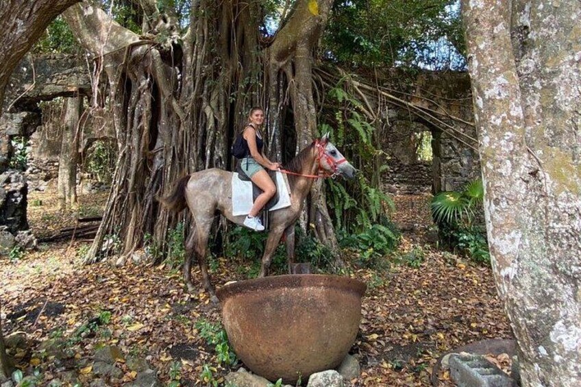 Nature & Historical Horseback Riding Tours St. Lucia 4