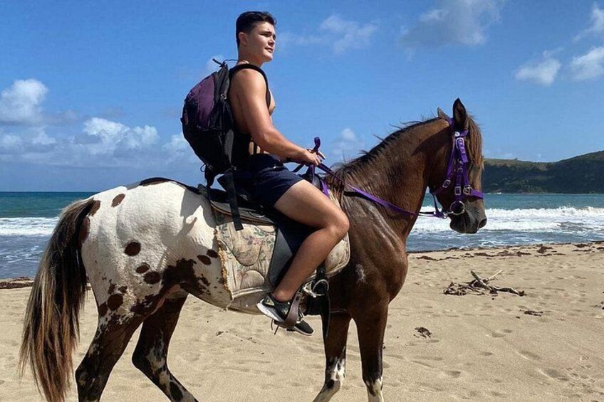 Nature & Historical Horseback Riding Tours St. Lucia 5