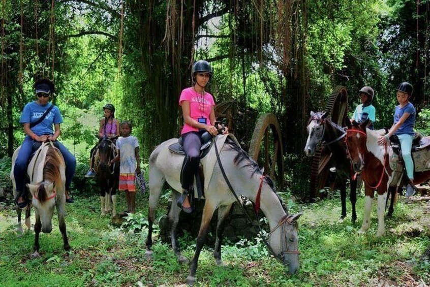 Nature & Historical Horseback Riding Tours St. Lucia