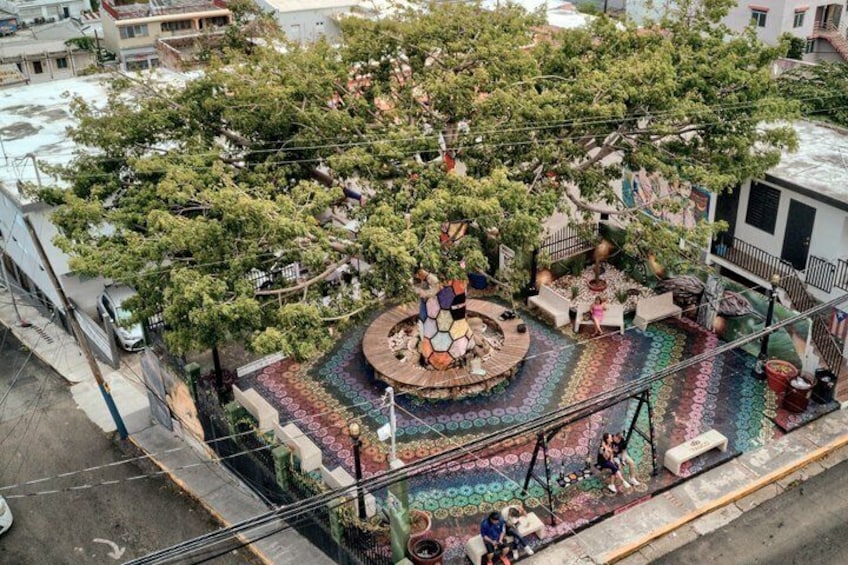 Hot Springs, Murals, Beach and a Biobay (Parguera) From San Juan 5