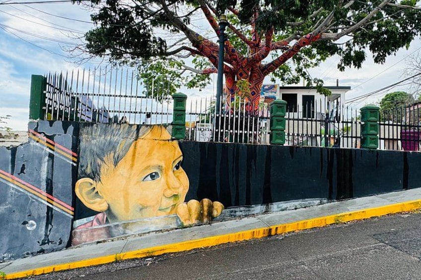 "San Juan: Bio Bay Swim, Hot Springs & Art Murals" 2