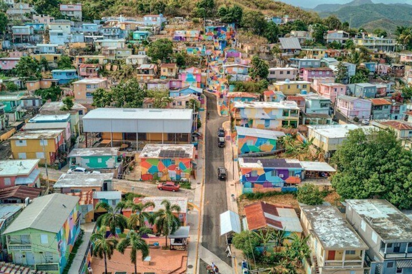 Hot Springs, Murals, Beach and a Biobay (Parguera) From San Juan 4
