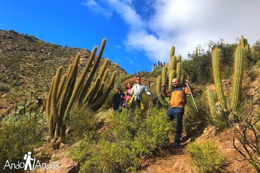 Andes Hike 12k - Private