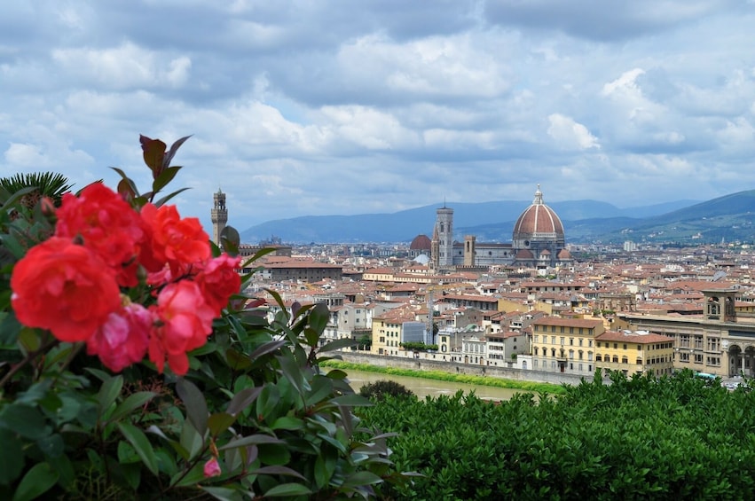 Electric Bike Tour of Florence & the Surrounding Countryside