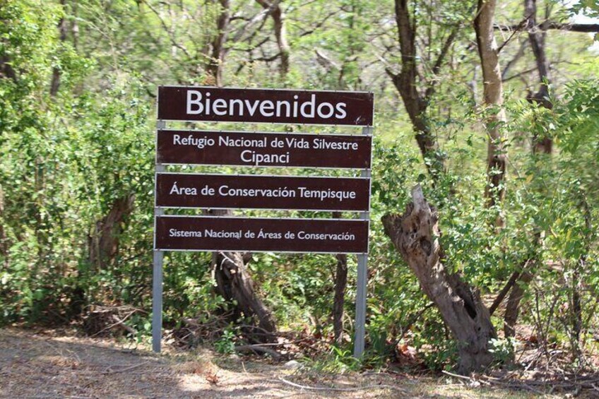 Jungle Cruise at Palo Verde National Park